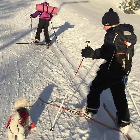 House With A Beautiful Seaview Apartment